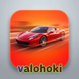 valohoki